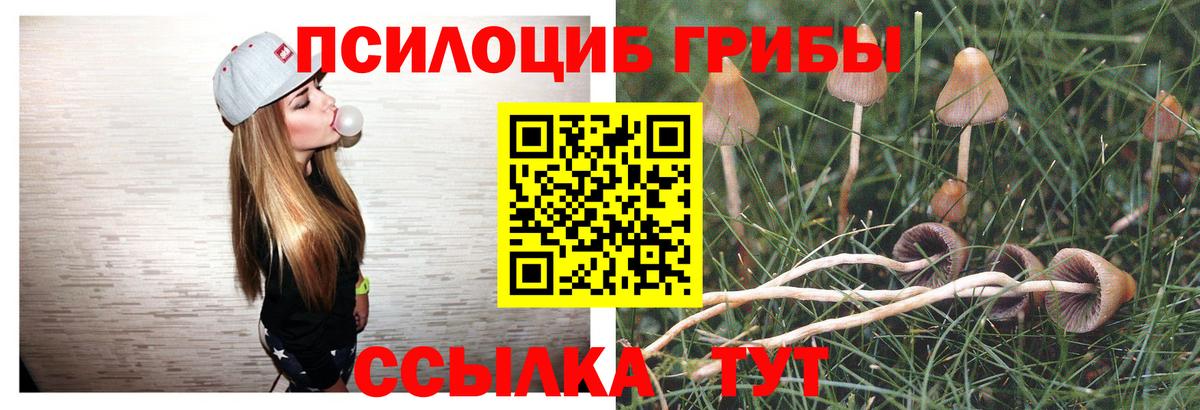 Псилоцибиновые грибы мухоморы  Псилоцибиновые грибы Magic Shrooms  Вход с VPN  Партизанск 